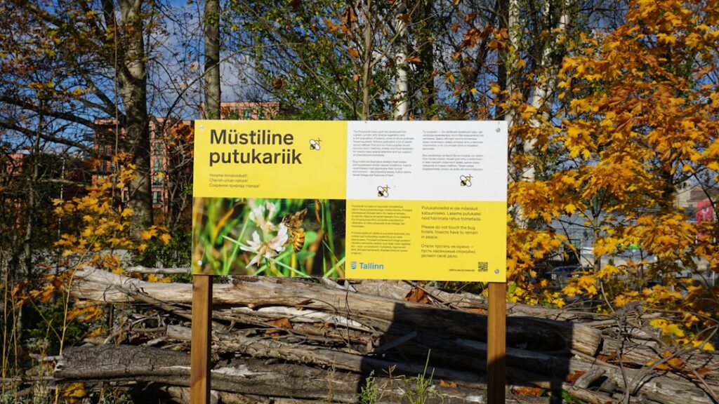 Foto de Marek Lumi en Unsplash (https://unsplash.com/@mareklumi)